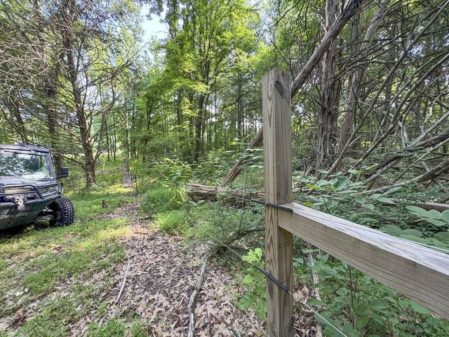 Property Image 53