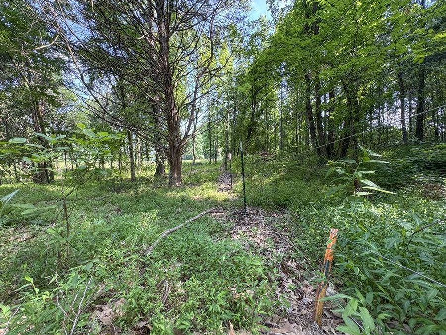 Property Image 54