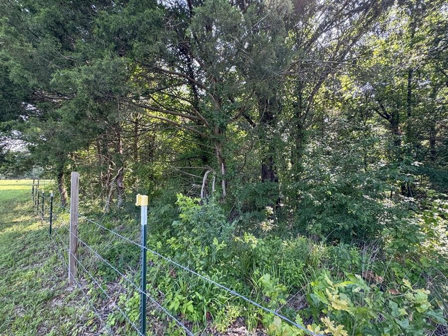 Property Image 61