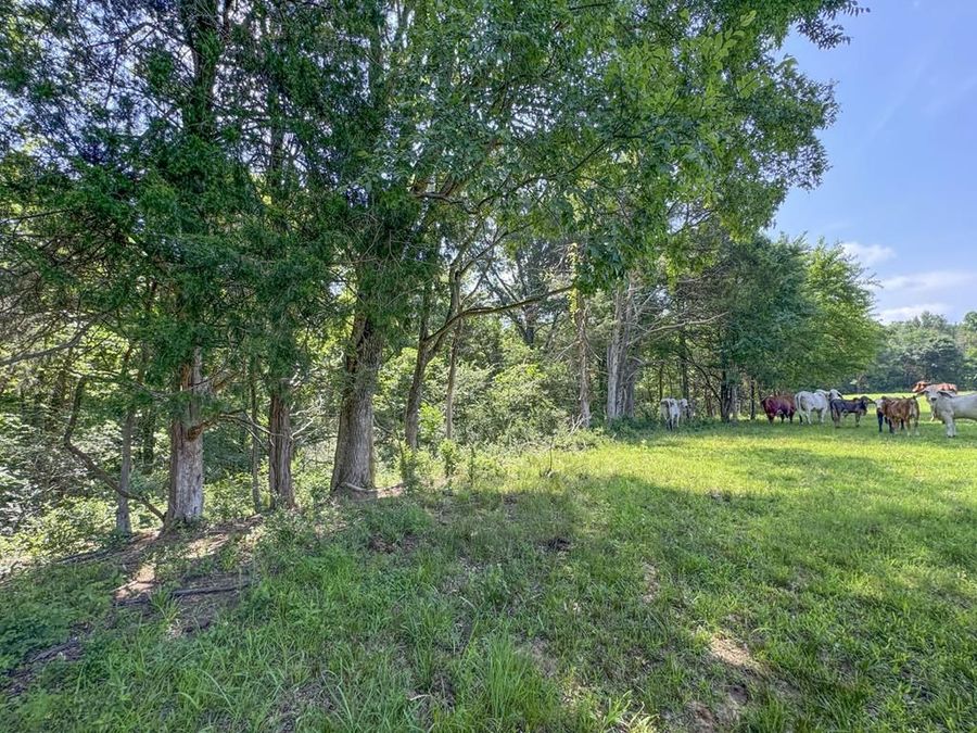 Property Image 63