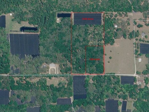 610 BURNSED ROAD , PIERSON, FL 32180