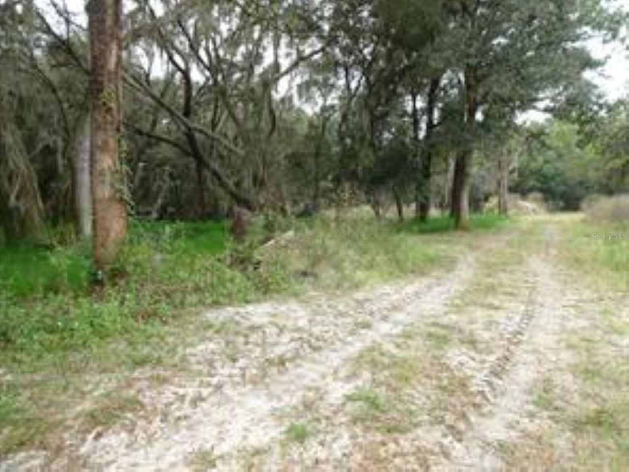 610 Burnsed Road , Pierson, FL 32180 Photo