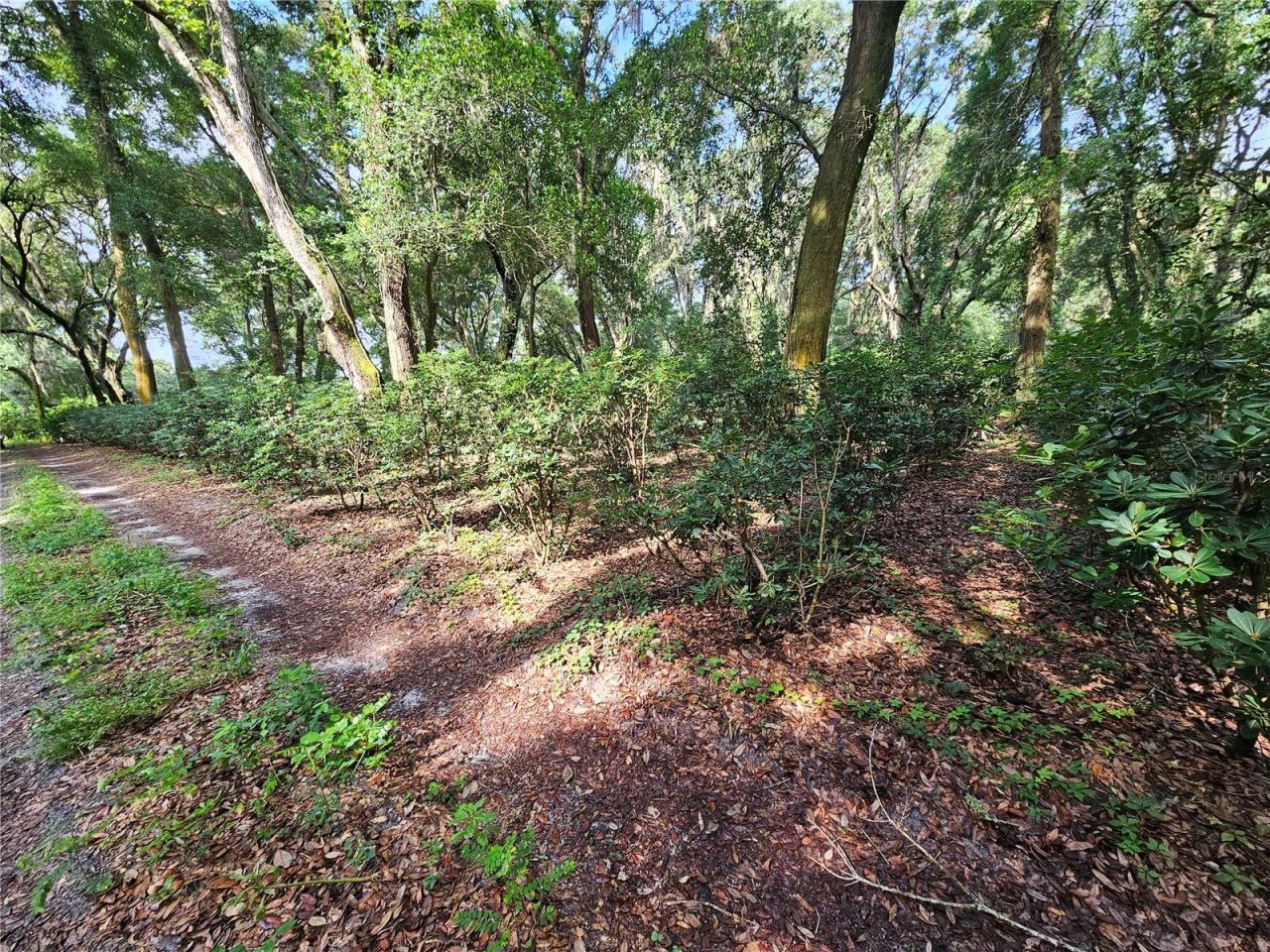 610 Burnsed Road , Pierson, FL 32180 Photo