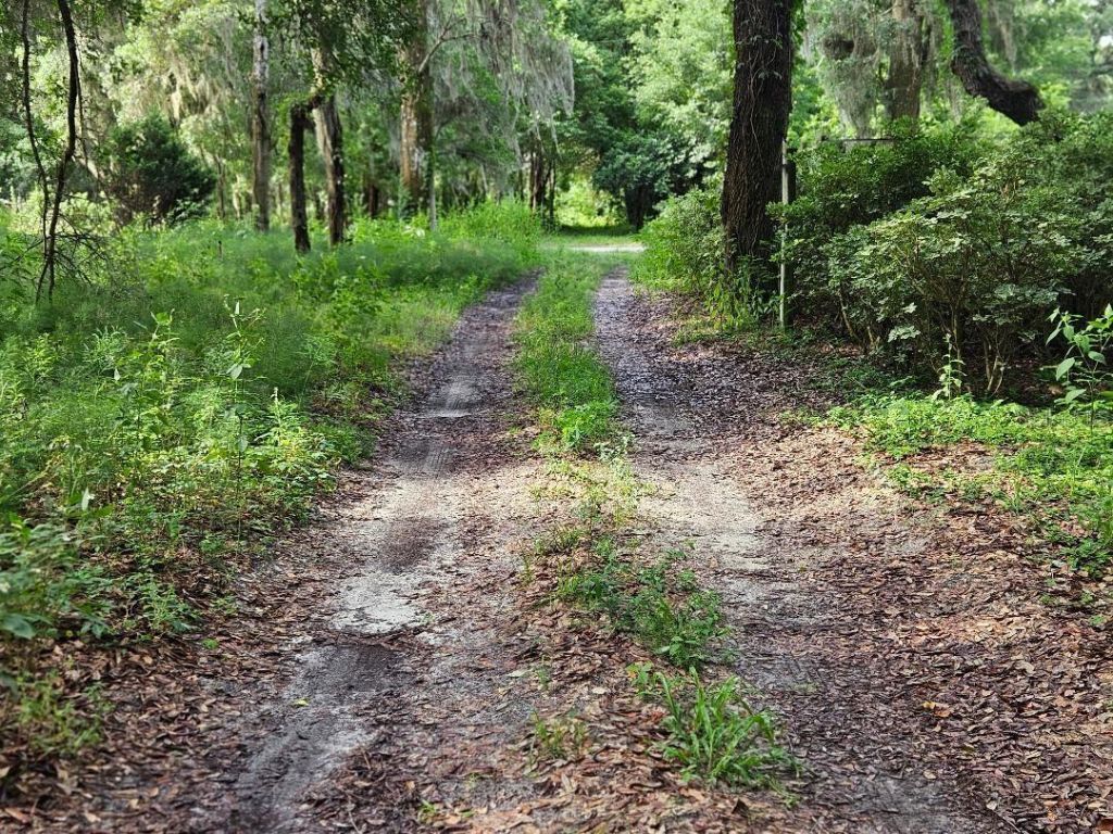 610 Burnsed Road , Pierson, FL 32180 Photo