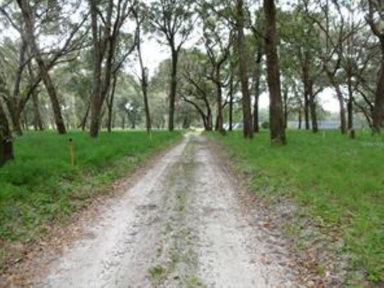 610 Burnsed Road , Pierson, FL 32180 Photo