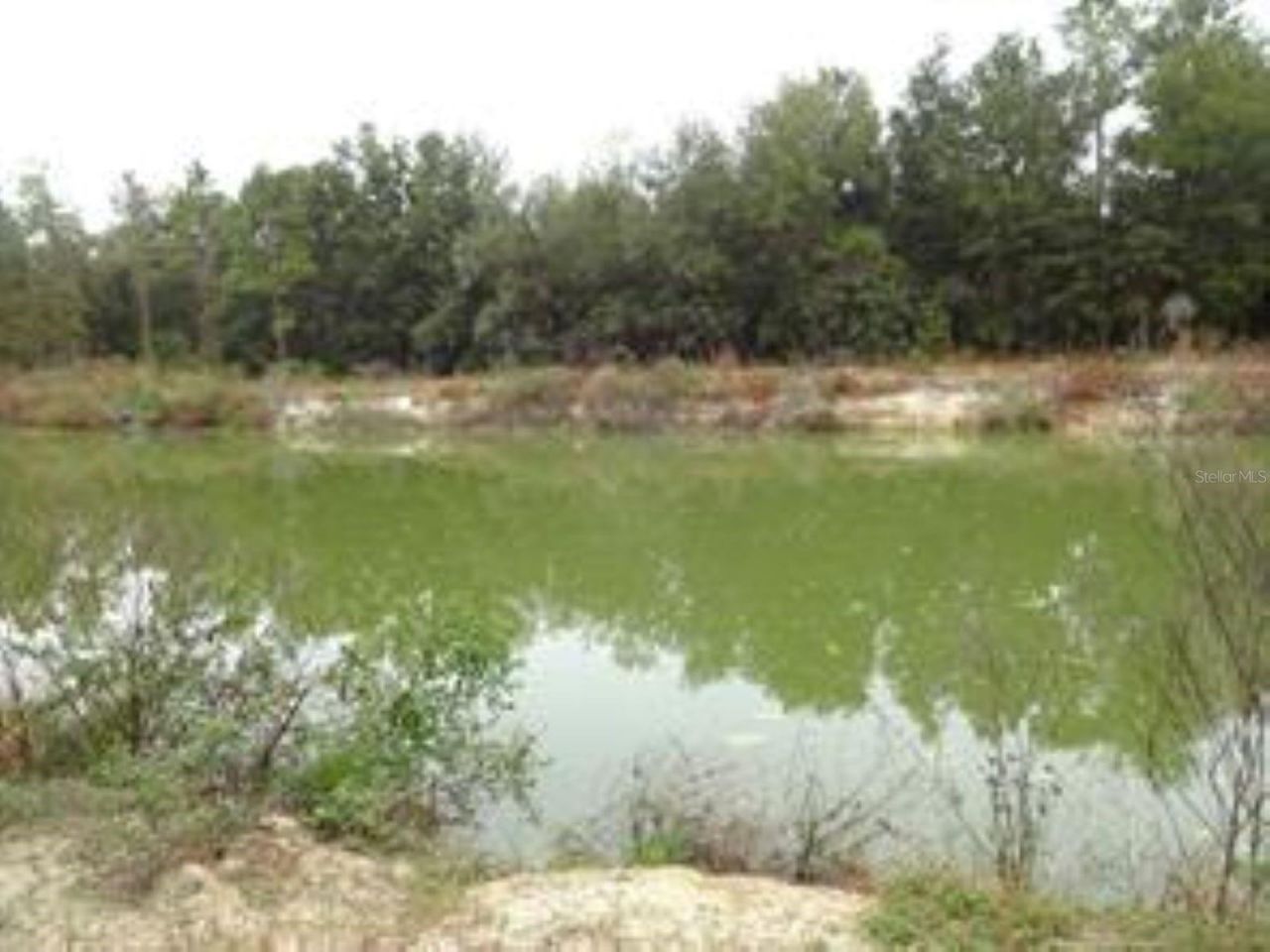 610 Burnsed Road , Pierson, FL 32180 Photo