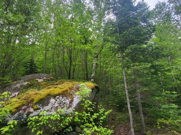 0 Saphire Lane, Jefferson, NH 03583