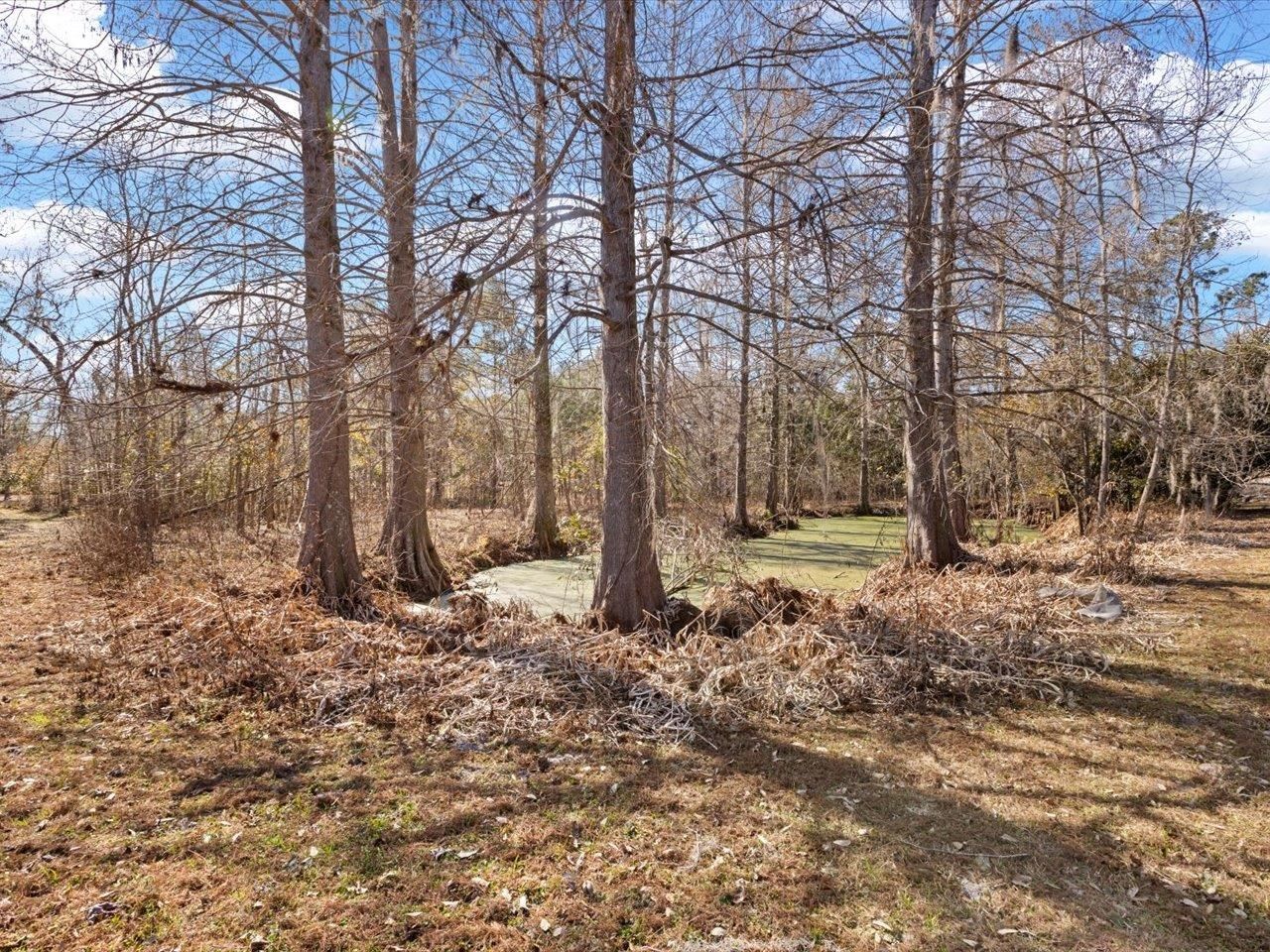 3639 N Sr 53, Madison, FL 32340 Photo