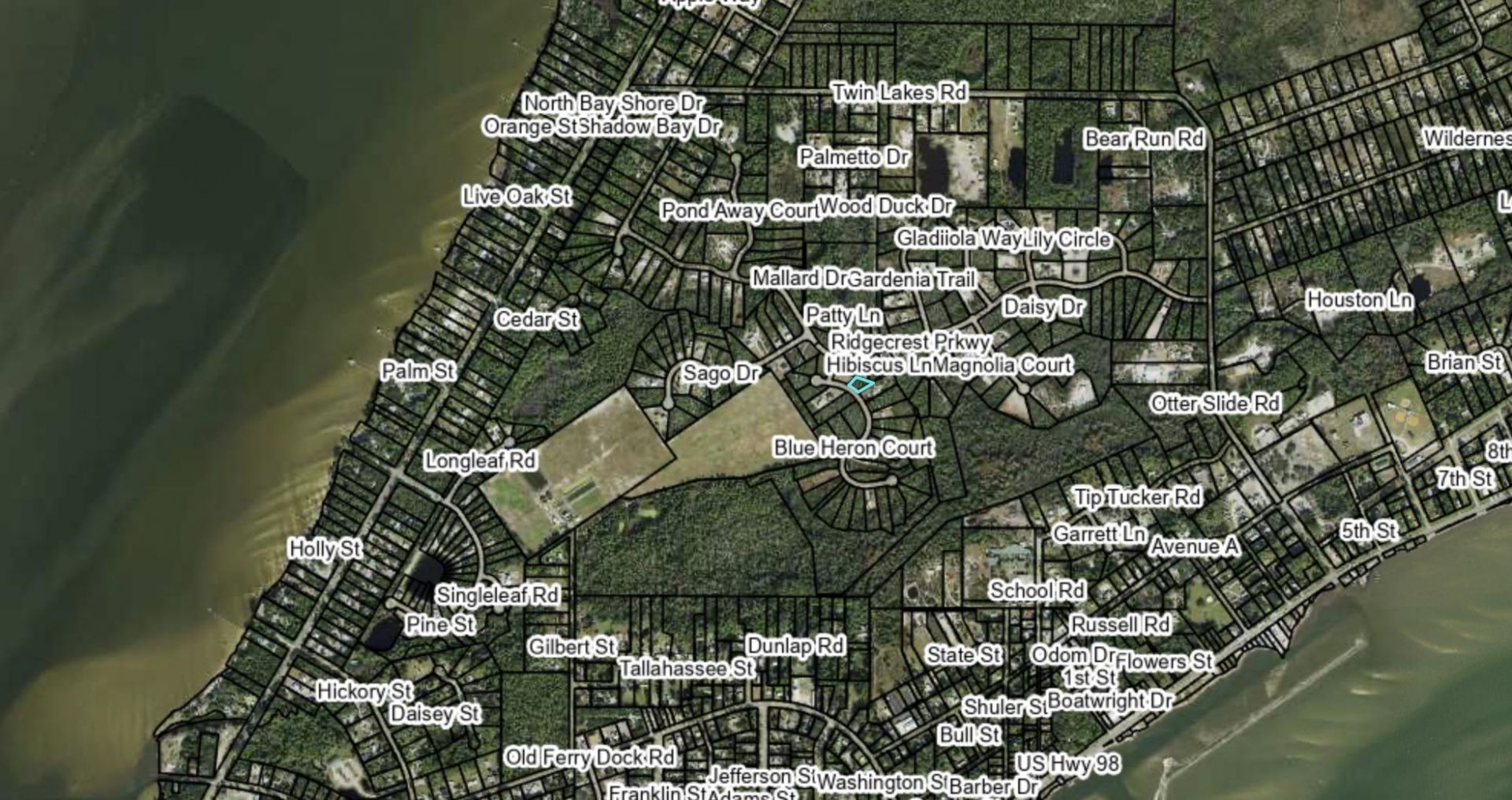 288 Blue Heron Drive, East Point, FL 32328 Photo