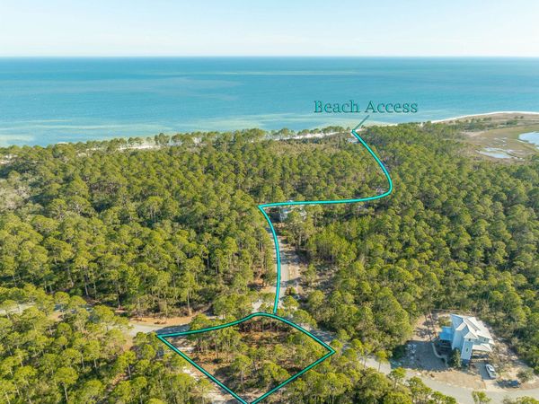 173 Lightining Bug Lane , St Teresa, FL 32358