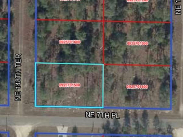 NE 7TH PLACE , WILLISTON, FL 32696
