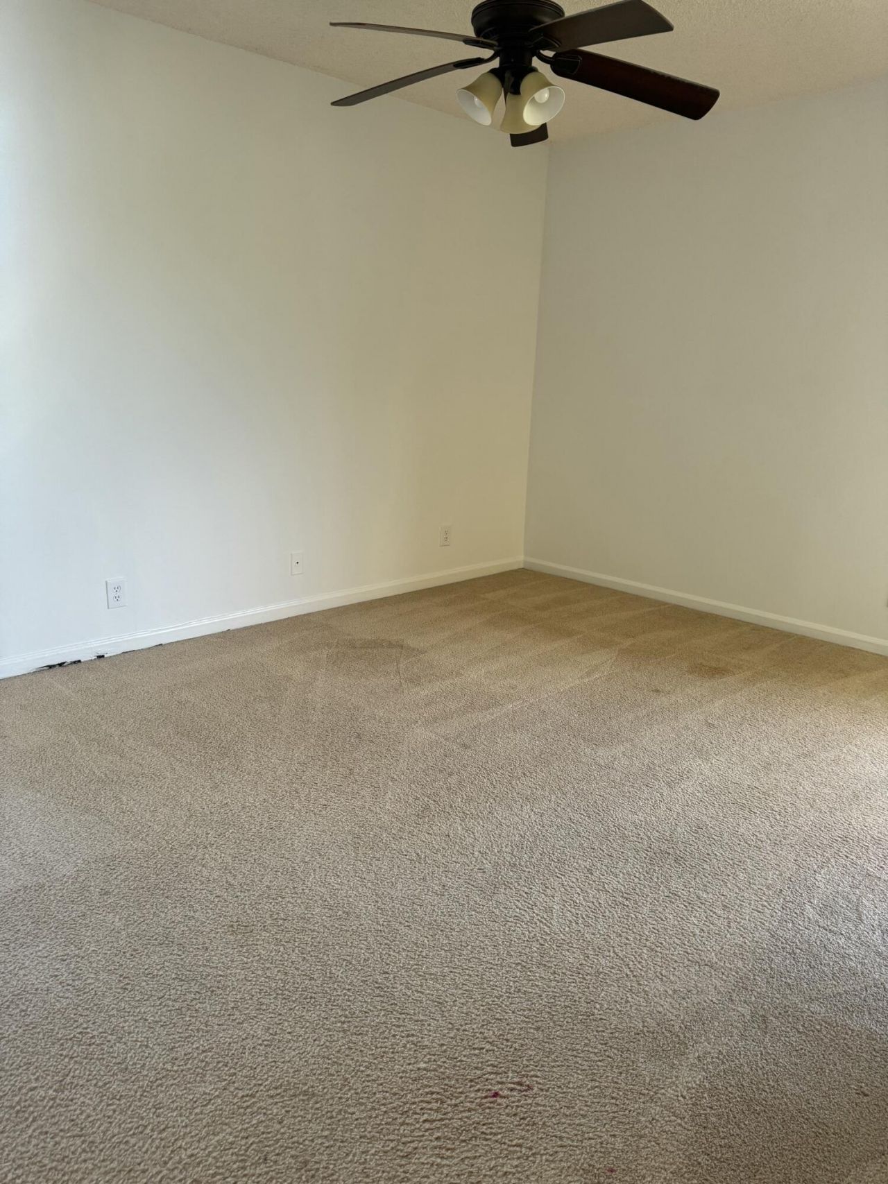 2650 Greenwood, Unit 2160, Boca Raton, FL 33431 Photo