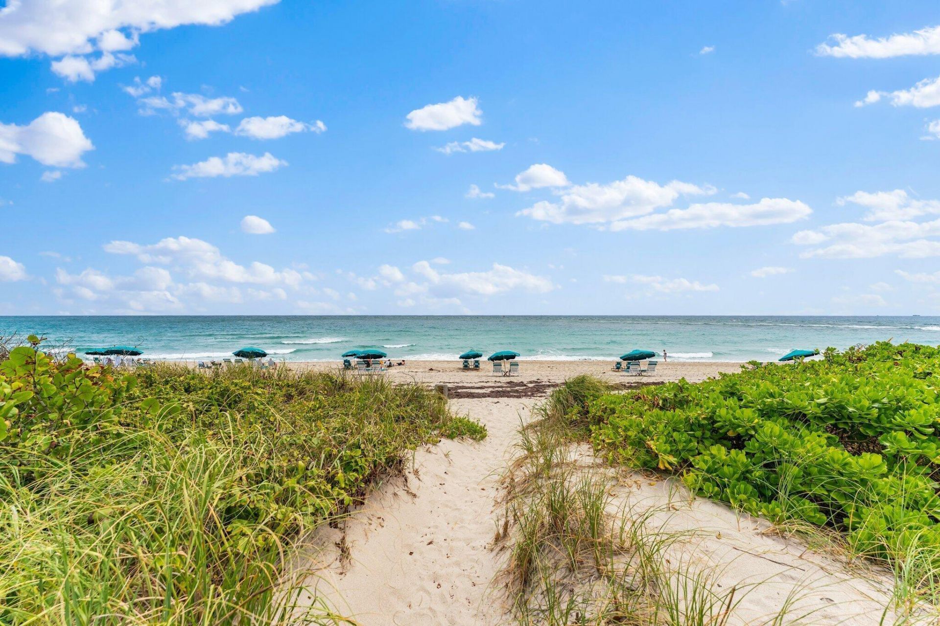 33 S Ocean Avenue, Unit 502, Palm Beach Shores, FL 33404 Photo