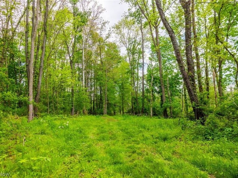 4686 Valley Road, Wooster, OH 44691 Photo 6