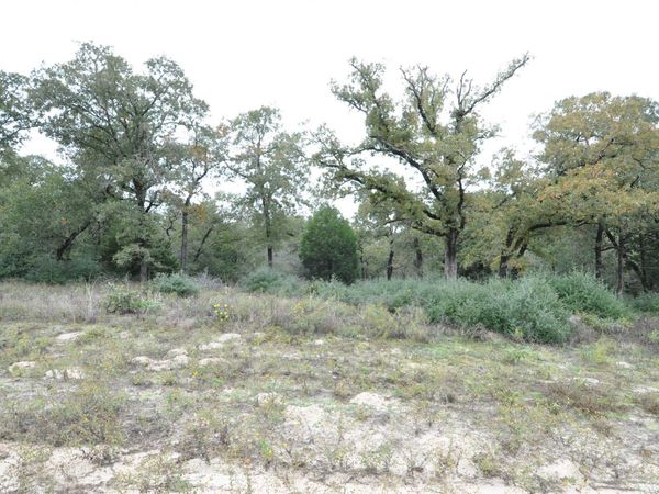 TBD OakView LN , Thrall, TX 76578