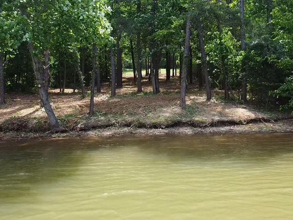 764 Wood Duck Drive, Vonore, TN 37885