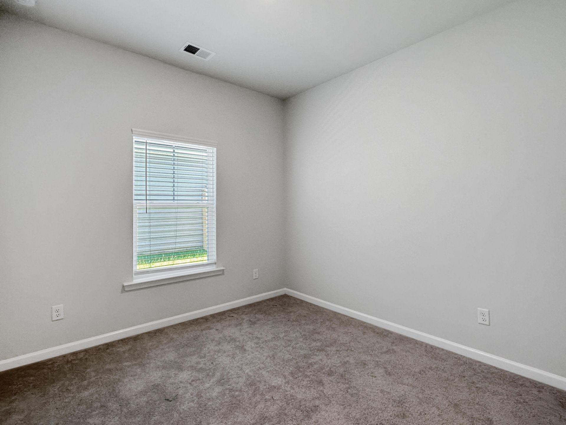 306 Blue Mountain Drive Photo 18