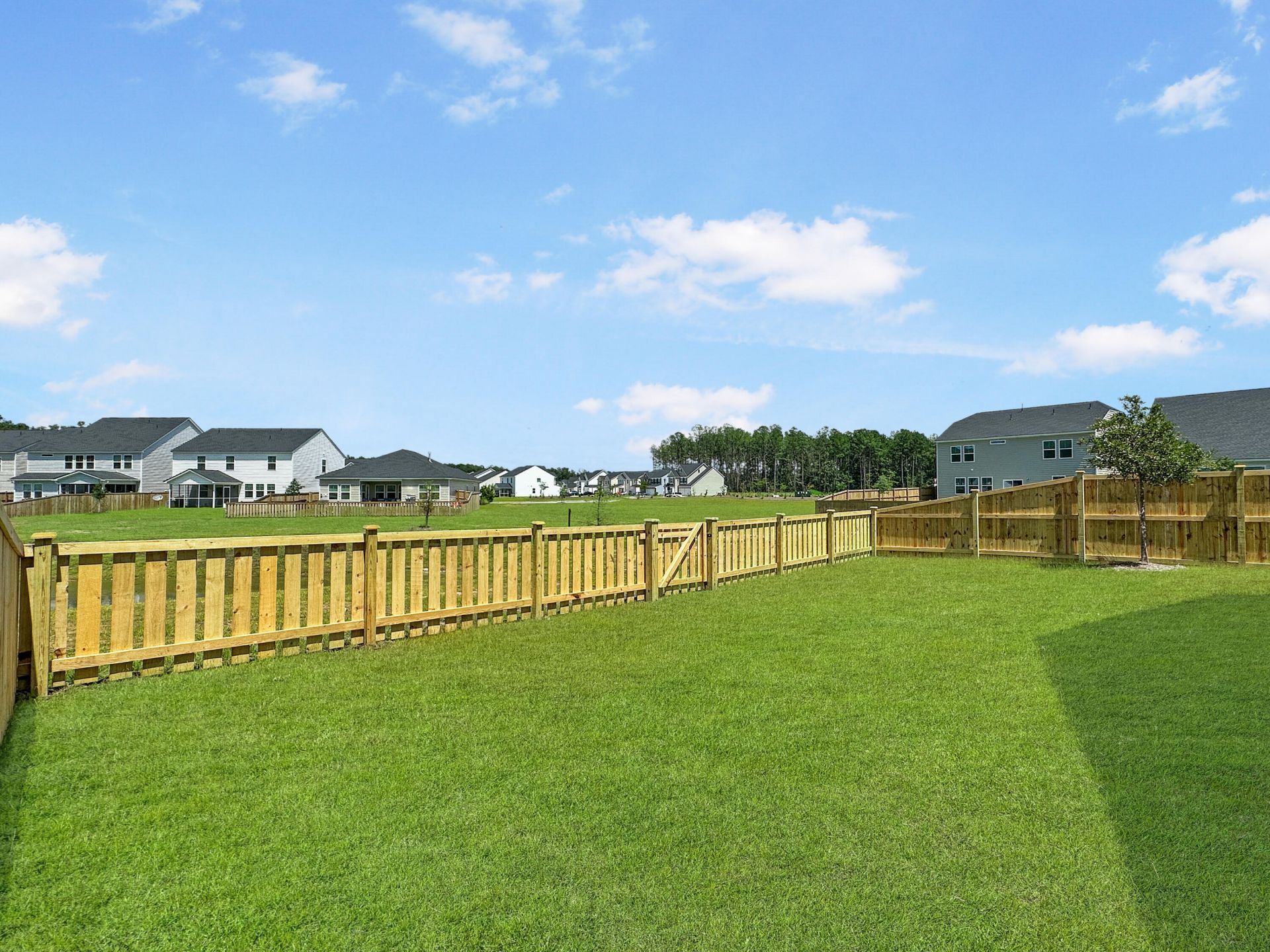 306 Blue Mountain Drive Photo 30
