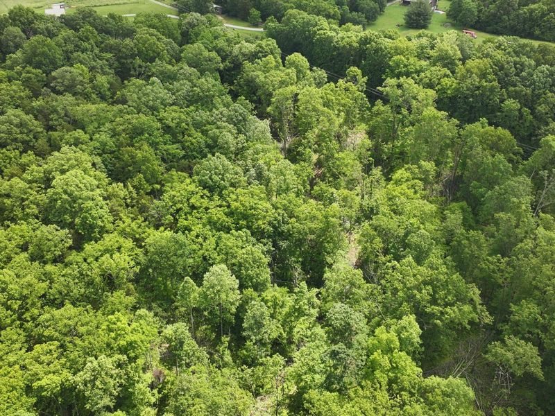 3990 Claxon Ridge Road, Owenton, KY 40359 Photo 12