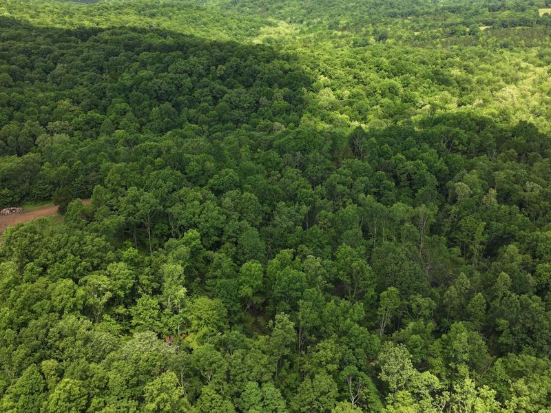 3990 Claxon Ridge Road, Owenton, KY 40359 Photo 13