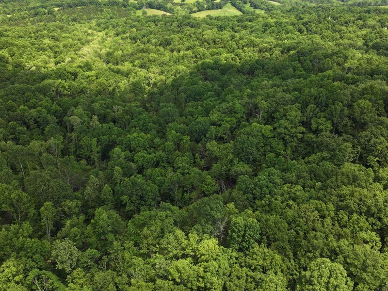 3990 Claxon Ridge Road, Owenton, KY 40359 Photo 14