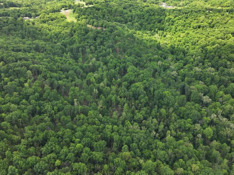 3990 Claxon Ridge Road, Owenton, KY 40359 Photo 16