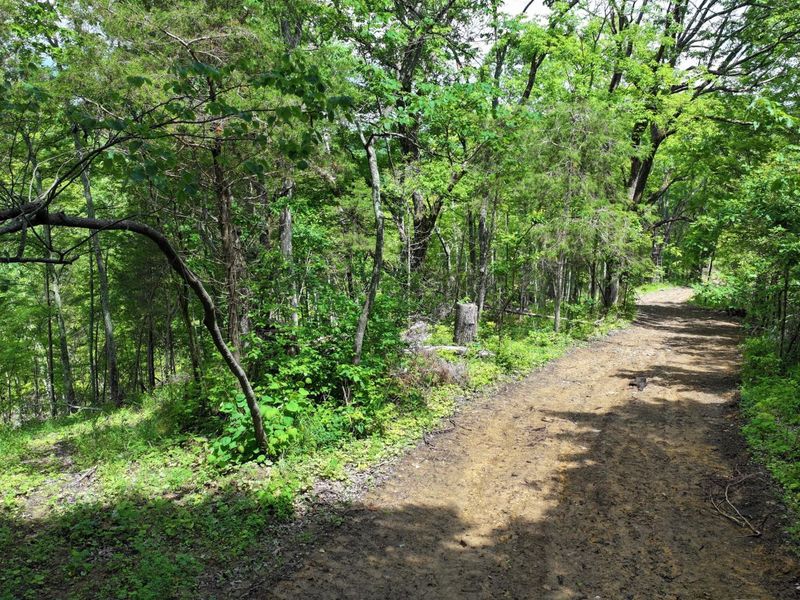 3990 Claxon Ridge Road, Owenton, KY 40359 Photo 17