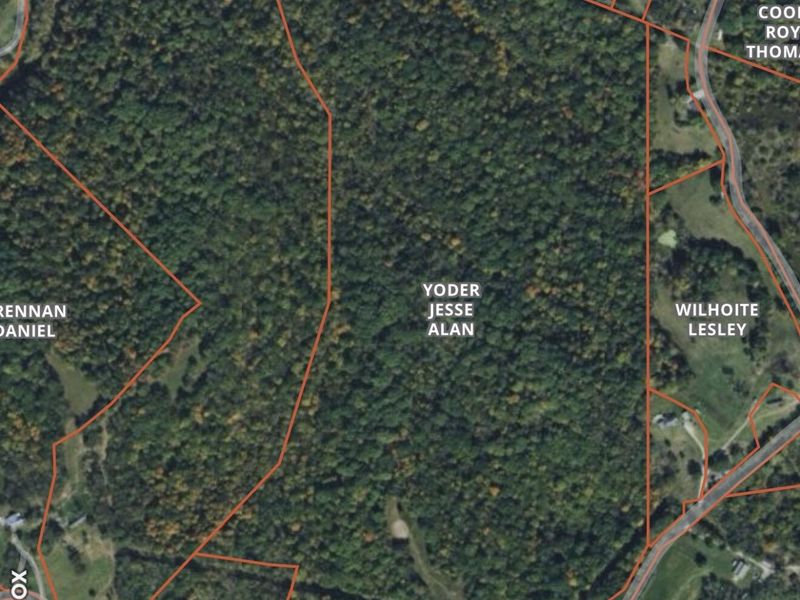 3990 Claxon Ridge Road, Owenton, KY 40359 Photo 19