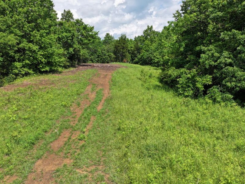 3990 Claxon Ridge Road, Owenton, KY 40359 Photo 3
