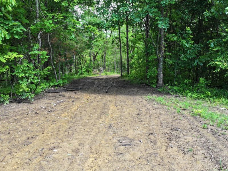 3990 Claxon Ridge Road, Owenton, KY 40359 Photo 5
