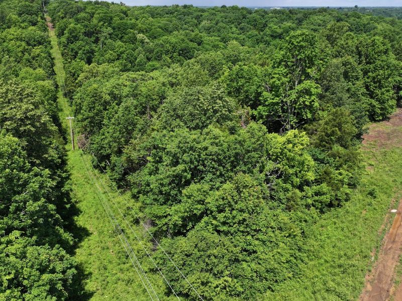 3990 Claxon Ridge Road, Owenton, KY 40359 Photo 7