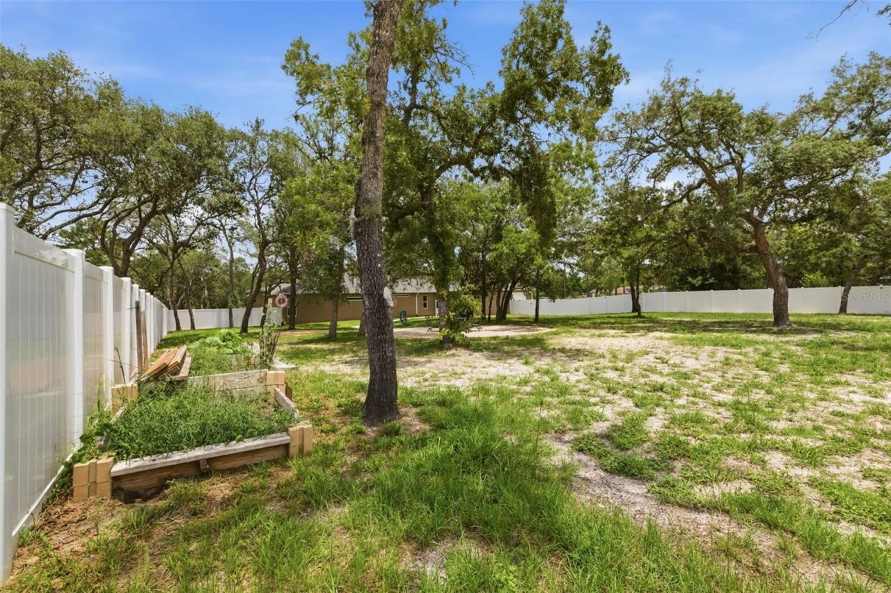 11145 Mountain Mockingbird Rd, Weeki Wachee, FL 34614 Photo
