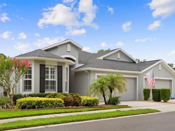 8557 ACORN RIDGE COURT , TAMPA, FL 33625