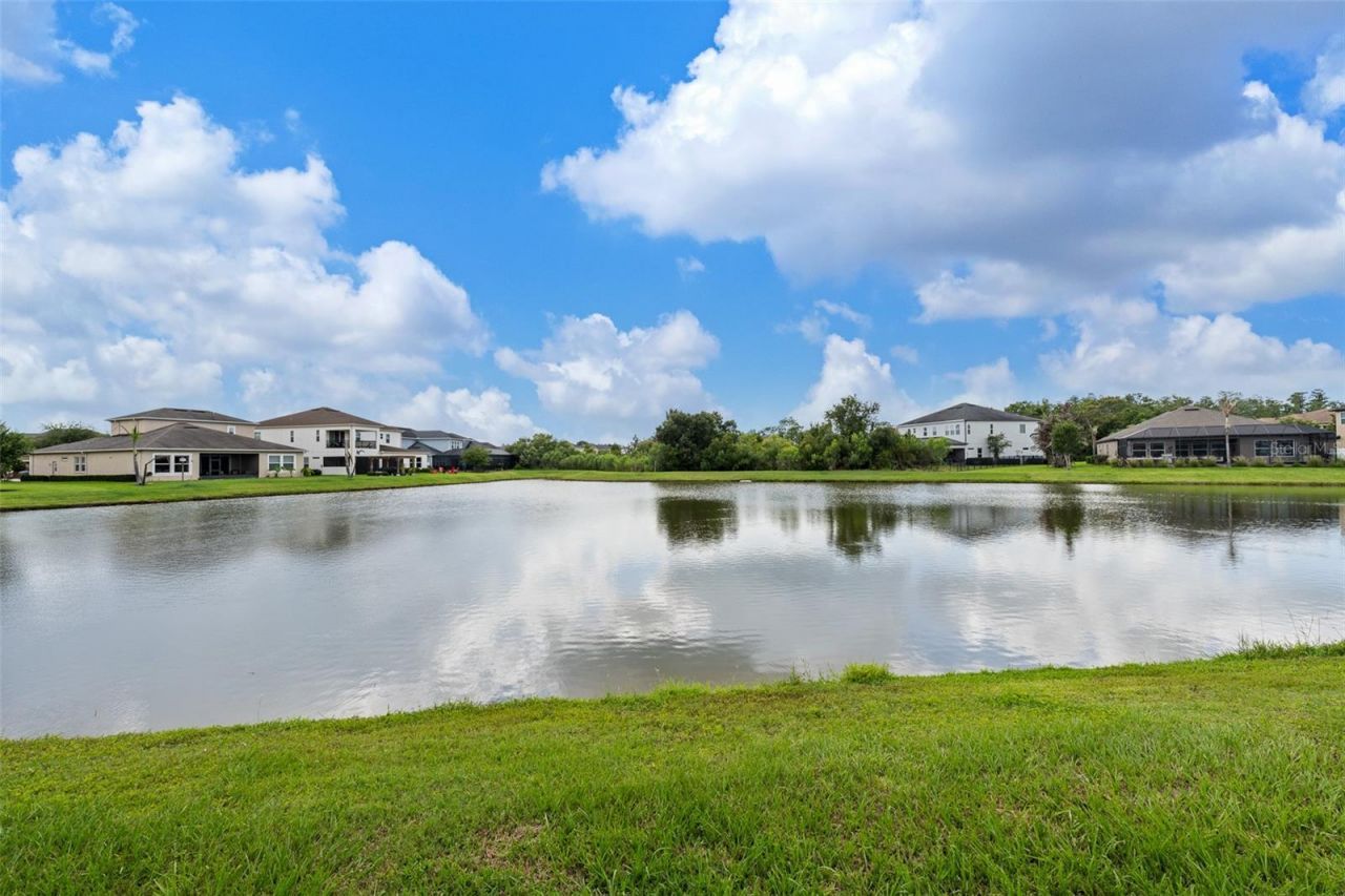 33164 Kateland Drive, Wesley Chapel, FL 33545 Photo