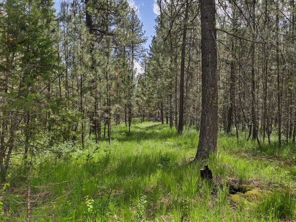 3834 Meadowlark Way Way, Loon Lake, WA 99148