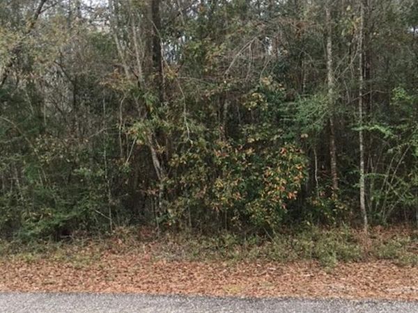 TBD Eunice St, Bogalusa, LA 70427