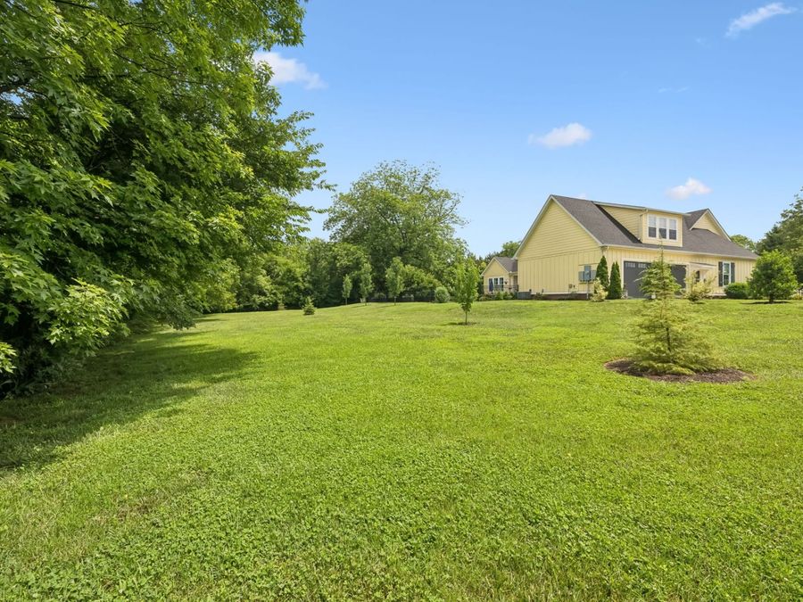 Property Image 79
