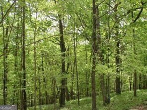 141 Fort Wayne Court, Waleska, GA 30183