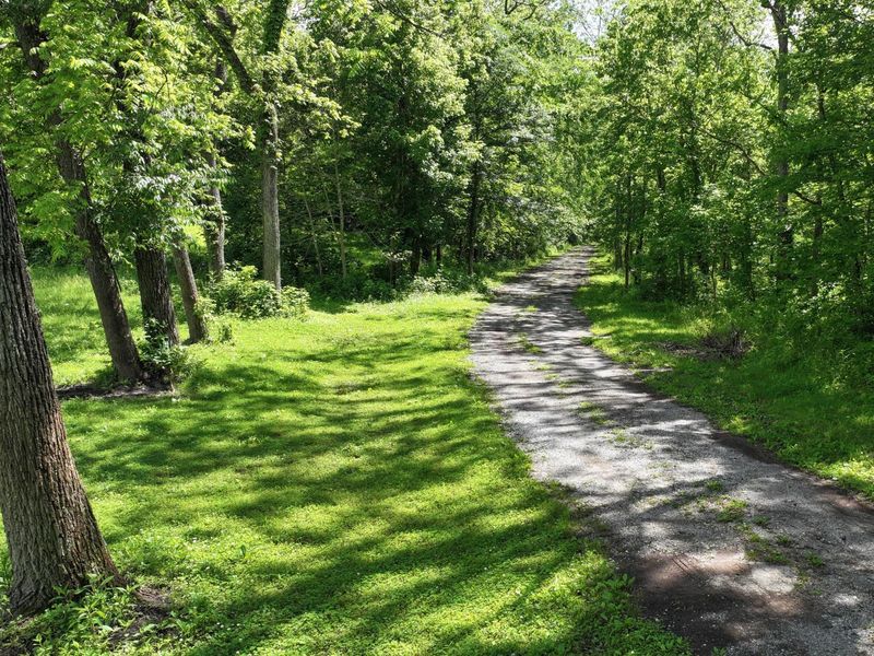 1519 Sparta Pike, Sparta, KY 41086 Photo 20