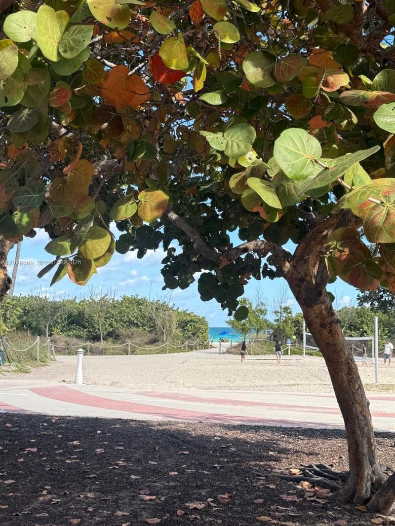 7928 Harding Ave , Unit 2, Miami Beach, FL 33141 Photo