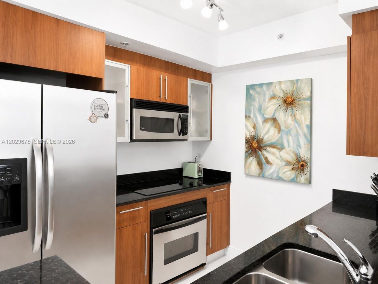 325 S Biscayne Blvd , Unit 717, Miami, FL 33131 Photo