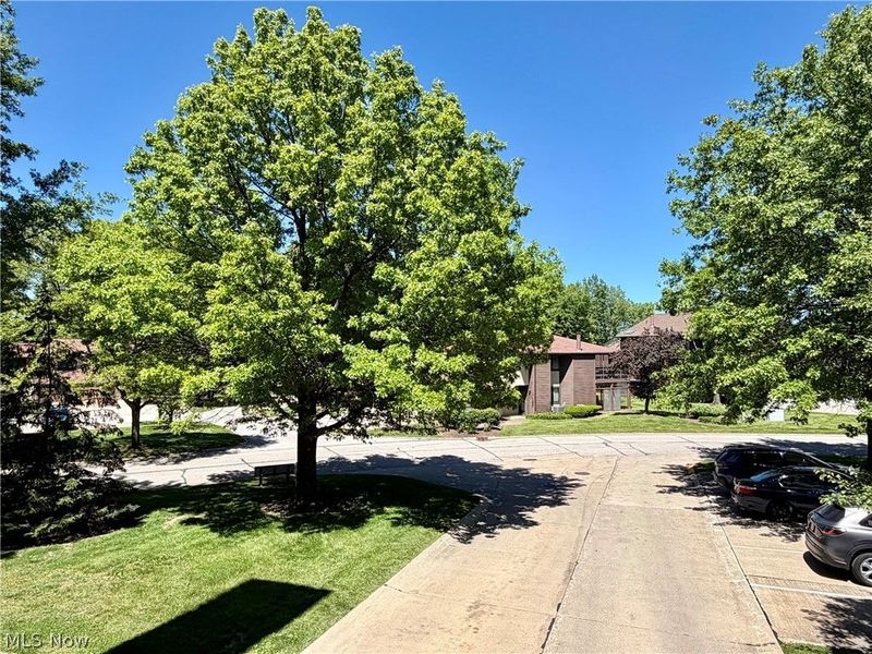 180 Fox Hollow Drive , Unit 101, Mayfield Heights, OH 44124 Photo 22