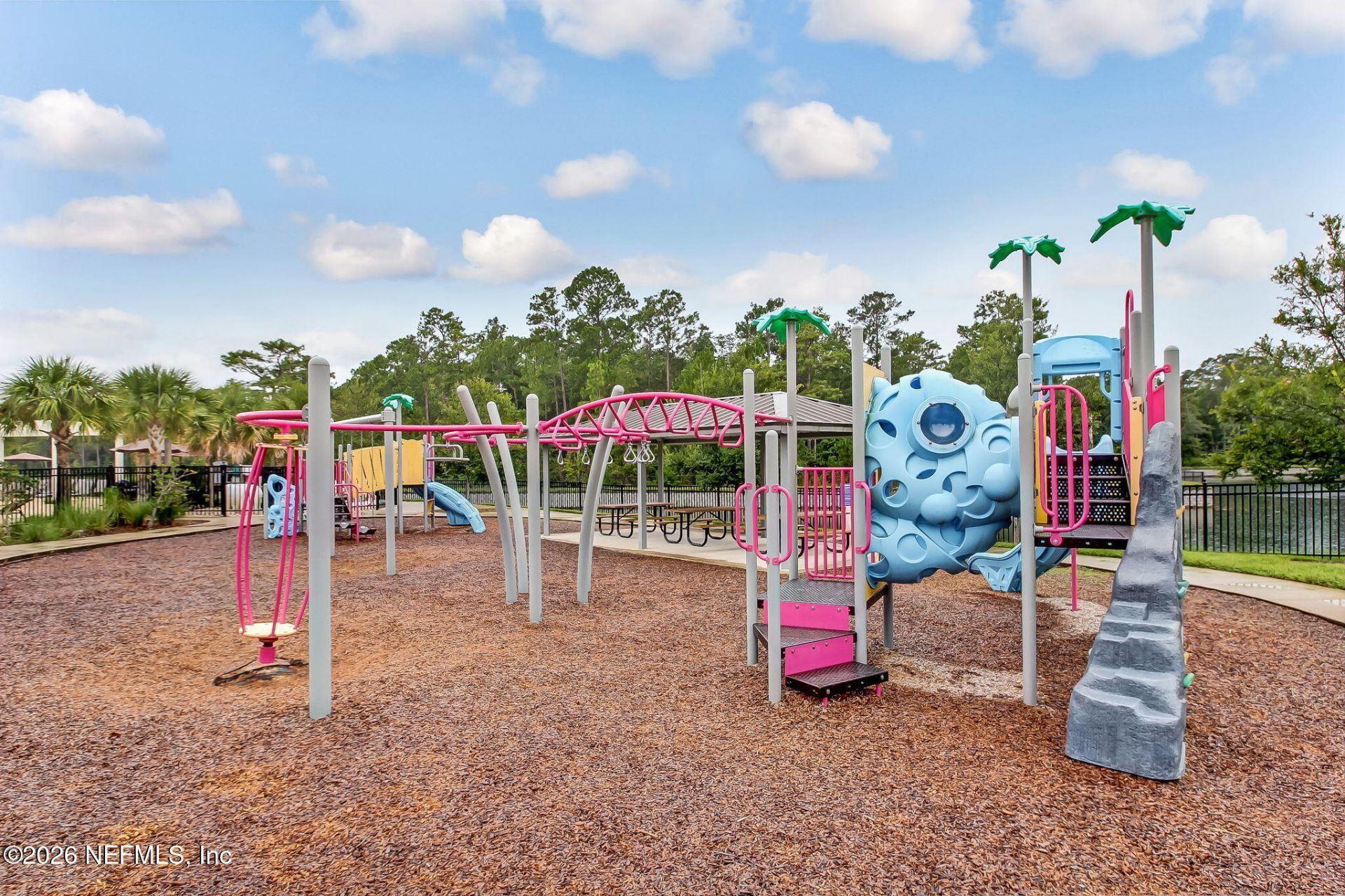 14842 Rain Lily Street, Jacksonville, FL 32258 Photo