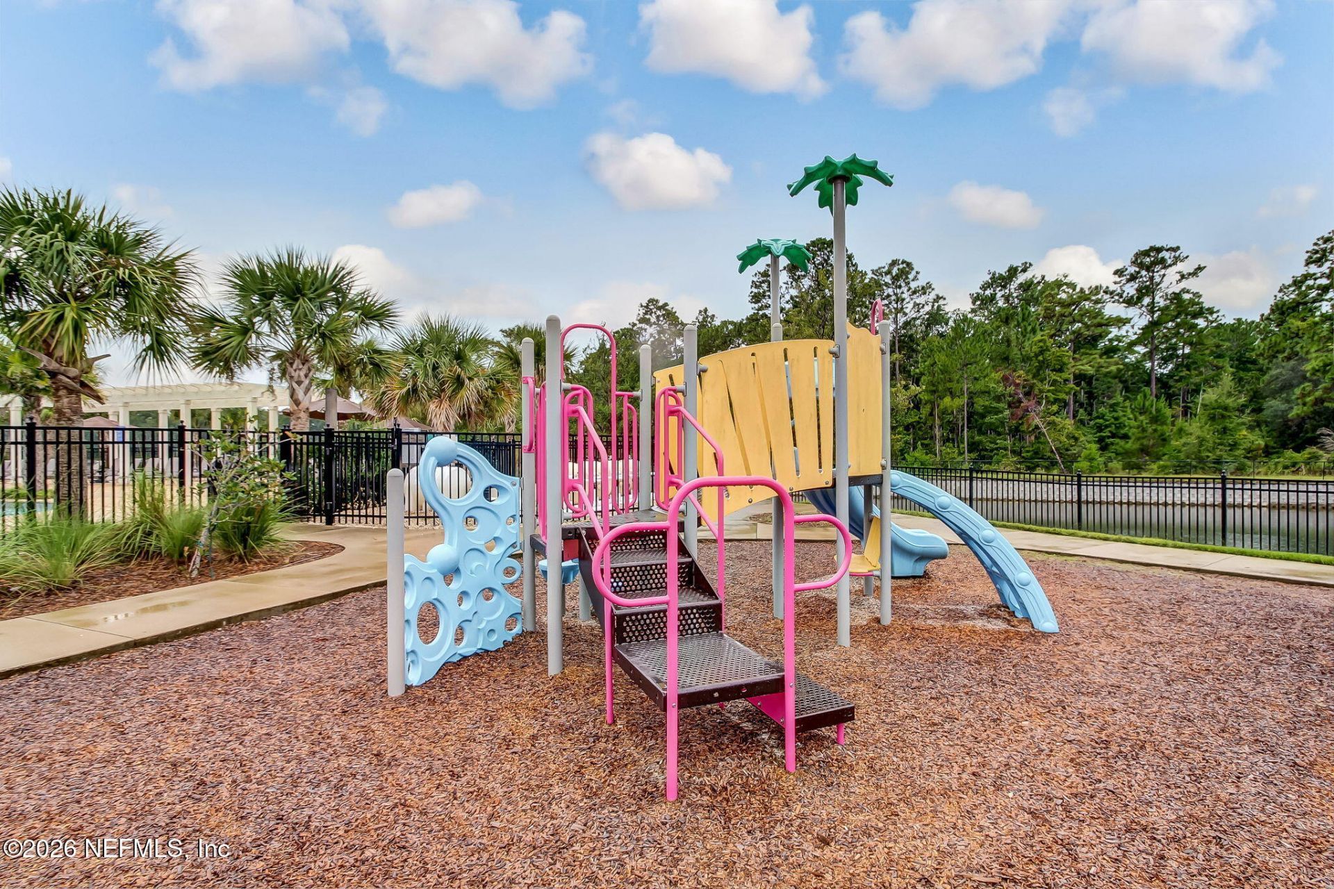 14842 Rain Lily Street, Jacksonville, FL 32258 Photo