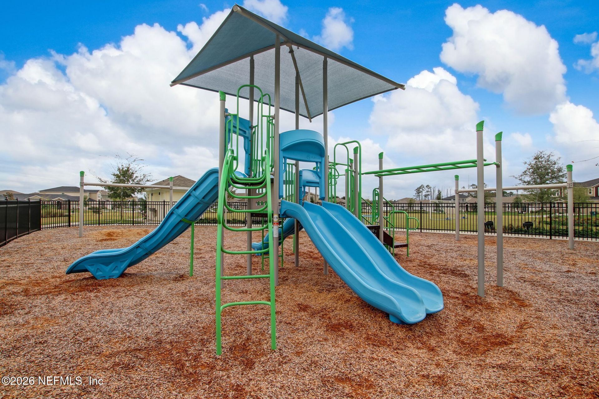 14842 Rain Lily Street, Jacksonville, FL 32258 Photo