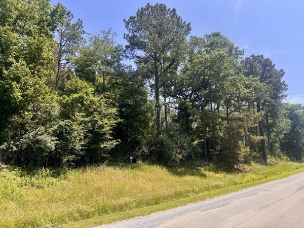 Lot 273 & 274 Rocky Point Road , Goreville, IL 62939