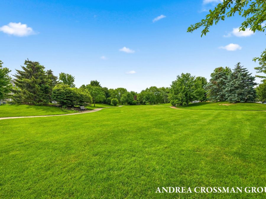 Property Image 53