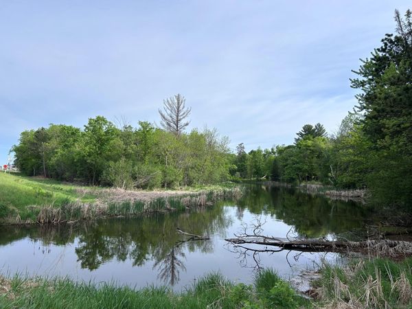 TBD Front Street , Pine River, MN 56474
