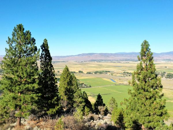 2160 Genoa Heights Lane, Genoa, NV 89411