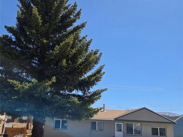 1309 Mount Elbert Drive, Leadville, CO 80461